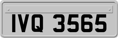 IVQ3565