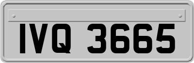 IVQ3665