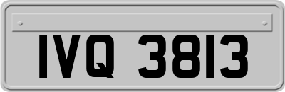 IVQ3813