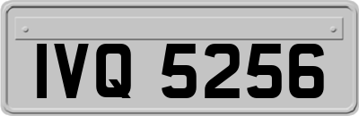 IVQ5256