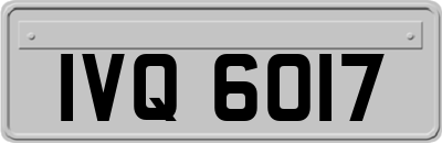 IVQ6017