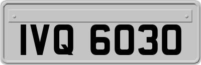 IVQ6030