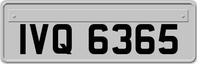 IVQ6365