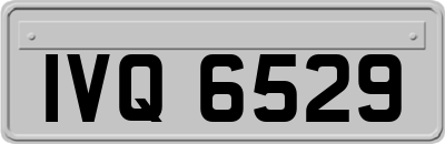 IVQ6529
