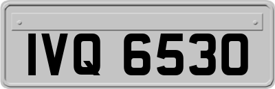 IVQ6530