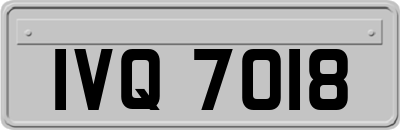 IVQ7018