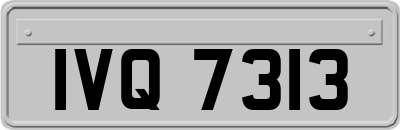 IVQ7313