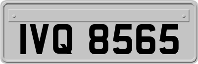 IVQ8565