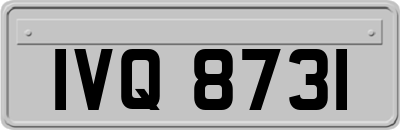 IVQ8731