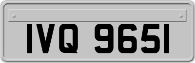 IVQ9651