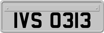 IVS0313