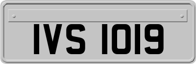 IVS1019