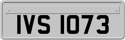 IVS1073