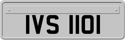 IVS1101