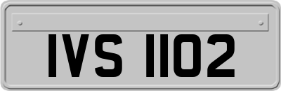IVS1102