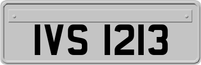 IVS1213