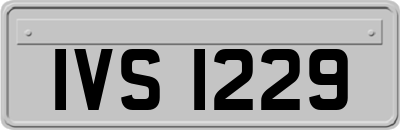 IVS1229