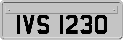 IVS1230