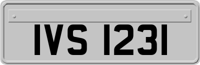 IVS1231