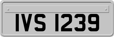 IVS1239