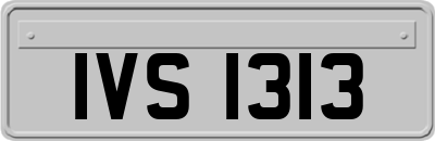 IVS1313
