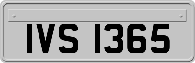 IVS1365