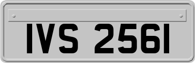 IVS2561