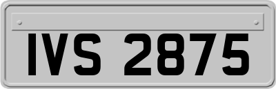 IVS2875