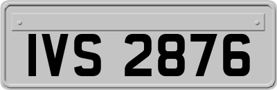 IVS2876