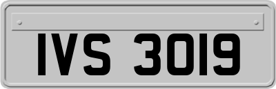 IVS3019