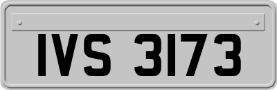 IVS3173