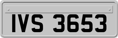 IVS3653