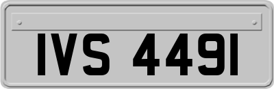 IVS4491