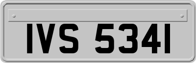 IVS5341