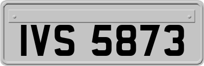 IVS5873