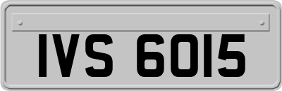 IVS6015