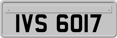 IVS6017
