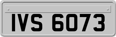 IVS6073