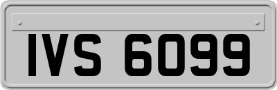 IVS6099