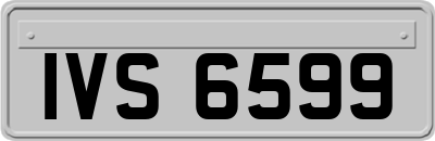 IVS6599