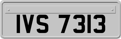 IVS7313