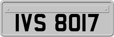 IVS8017
