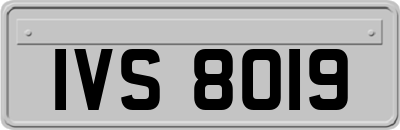 IVS8019