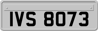 IVS8073