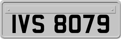 IVS8079