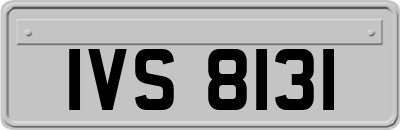 IVS8131