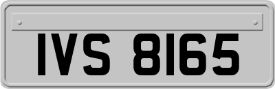 IVS8165