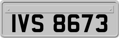 IVS8673