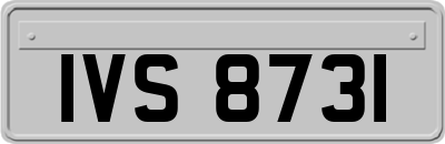 IVS8731