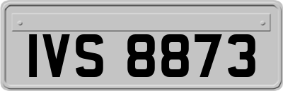 IVS8873